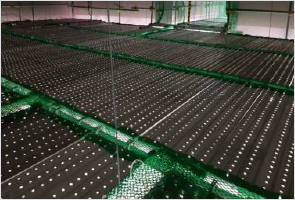 2CM 안전망 시공사진